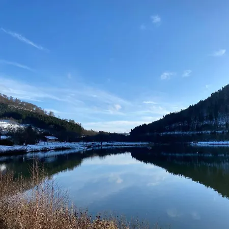 Am Hillestausee * Winterberg