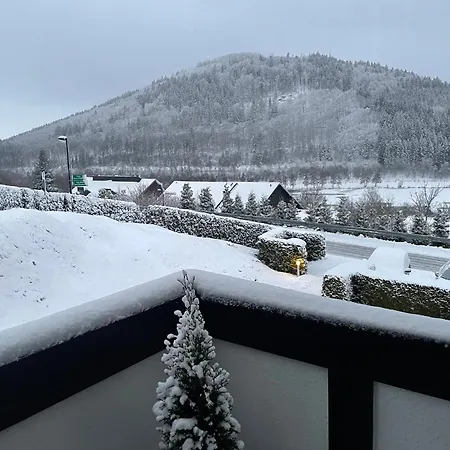 Apartment Am Hillestausee Winterberg